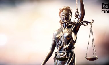 RESPONSABILIDAD DEL ESTADO