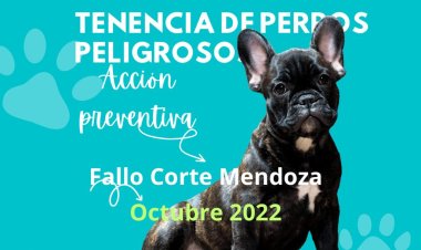 Prevención del daño : fallo corte mendoza